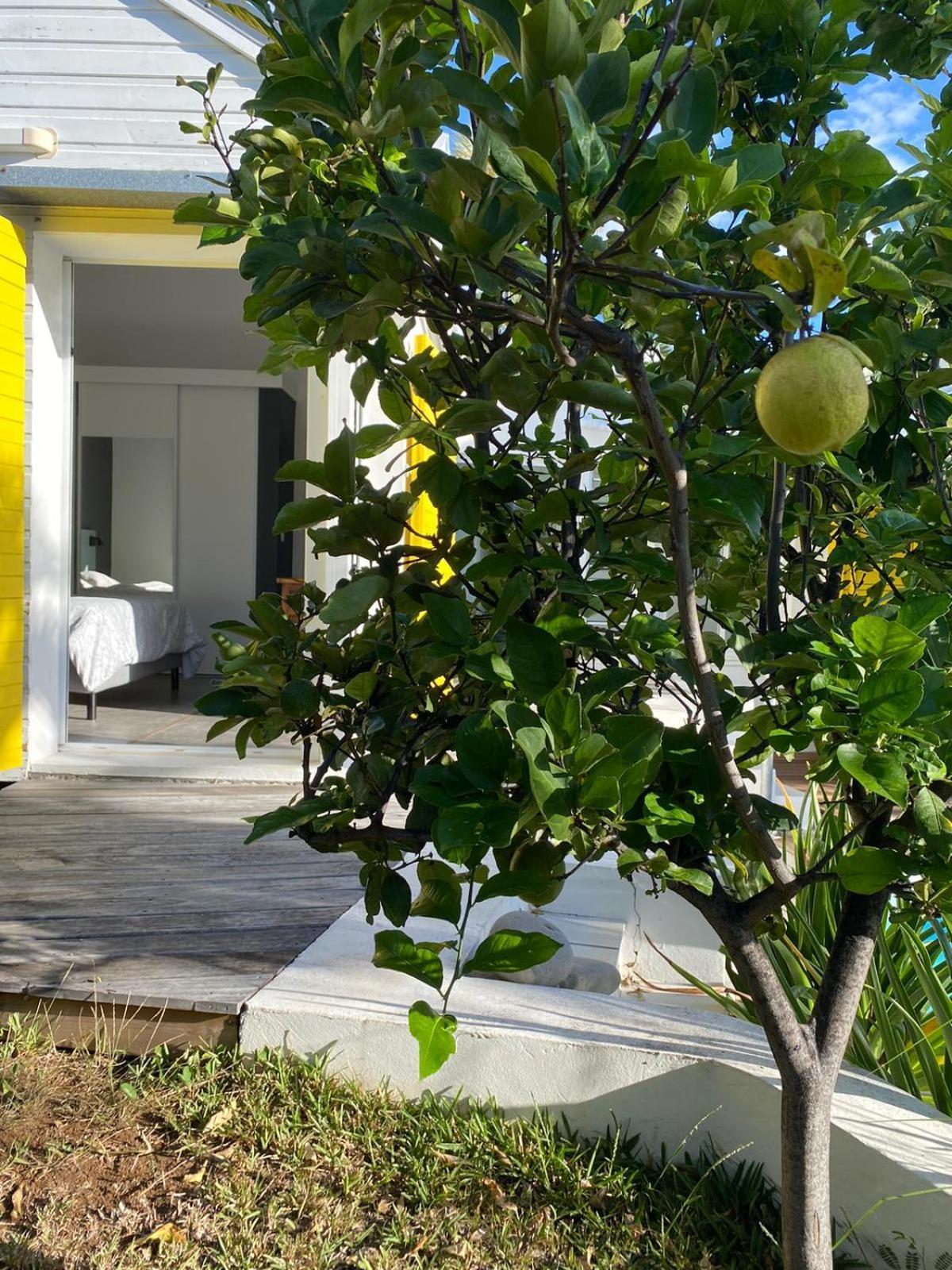 Villa Ylang Сен Жилс ле Бен Екстериор снимка